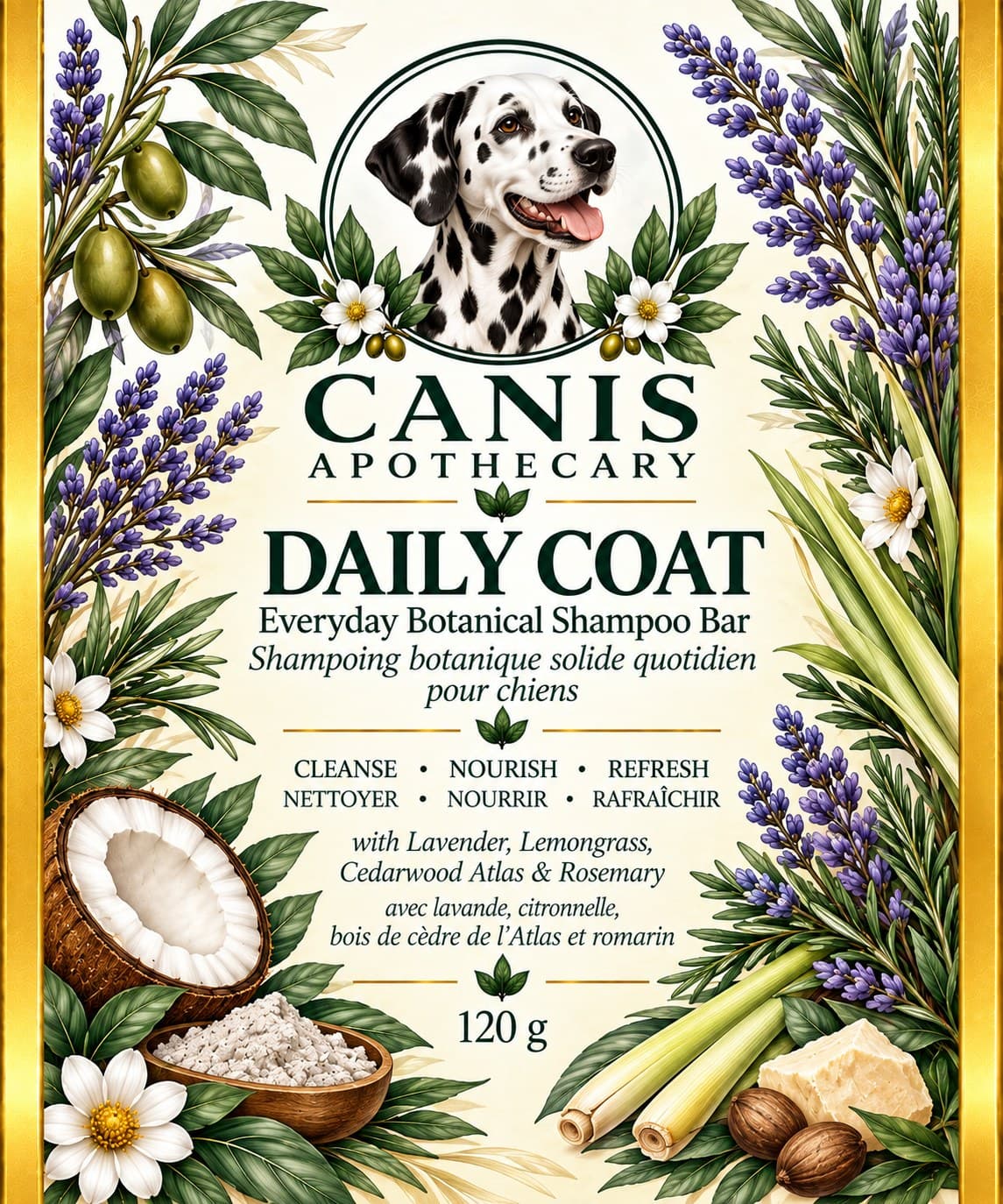 Everyday Care